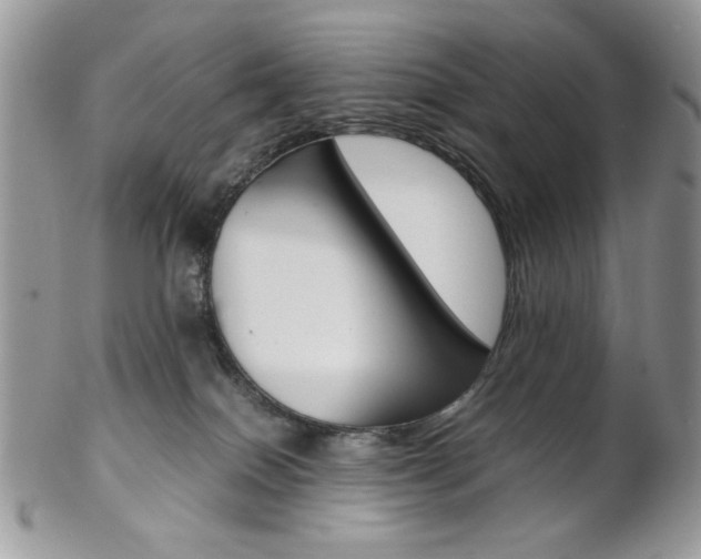 X0000102840086200808181034