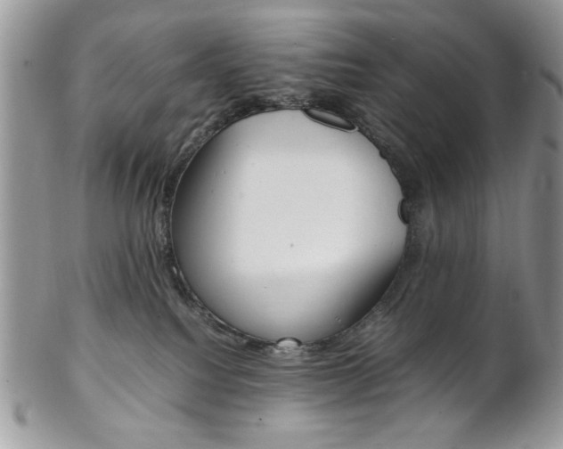 X0000102840088200808181034