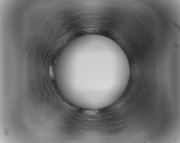 X0000102840089200808181034