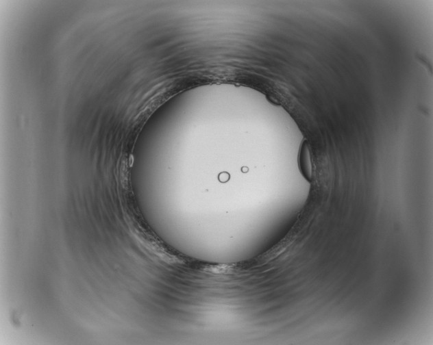 X0000102840092200808181034