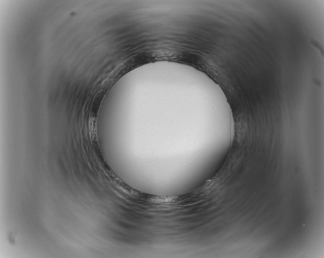 X0000102840093200808181034