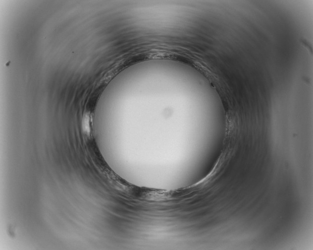 X0000102840094200808181034
