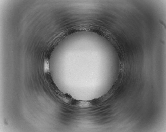 X0000102840095200808181034