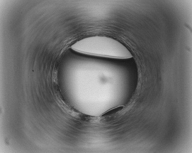 X0000102840096200808181034