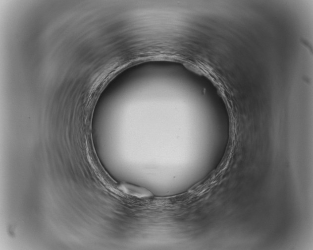 X0000102840097200808181034