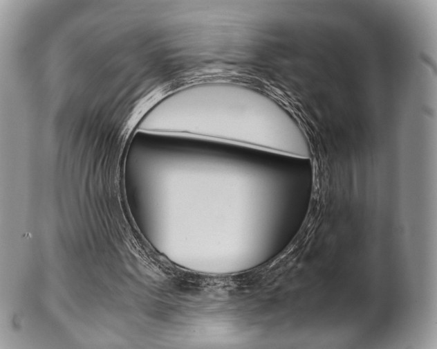 X0000102840099200808181034