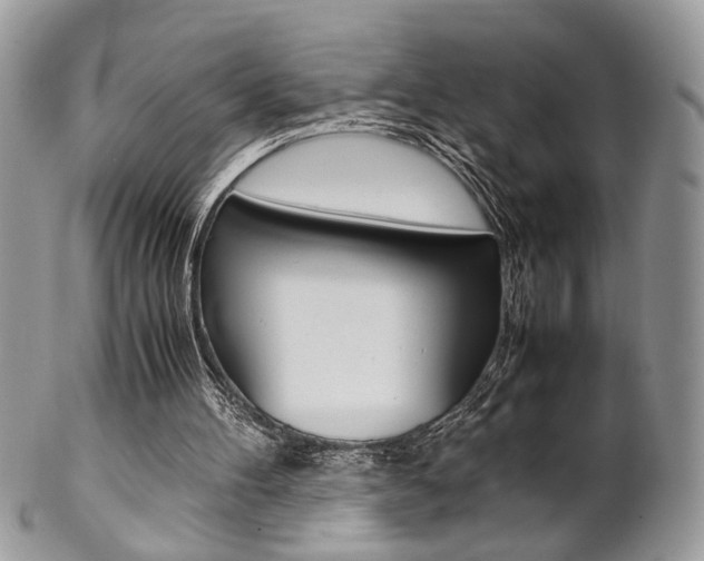 X0000102840100200808181034