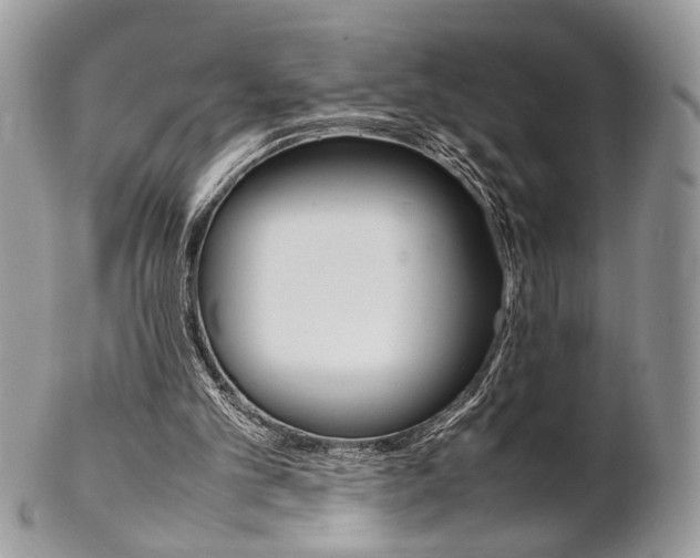 X0000102840101200808181034