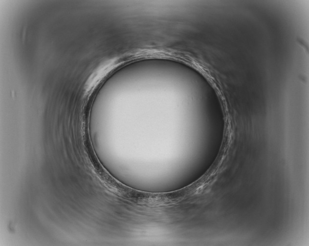 X0000102840103200808181034