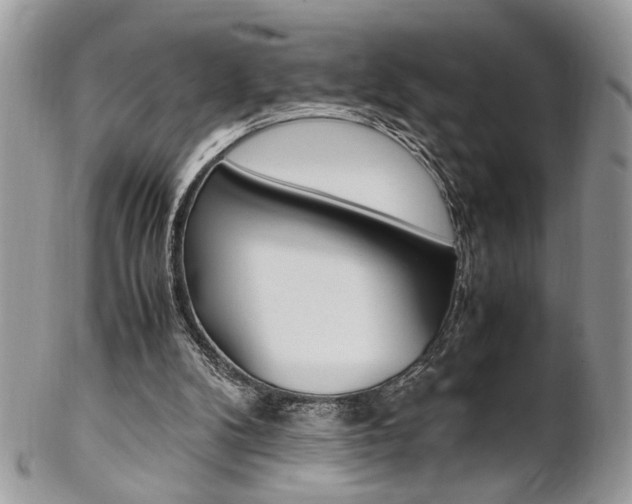 X0000102840104200808181034