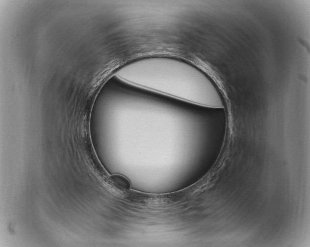 X0000102840105200808181034