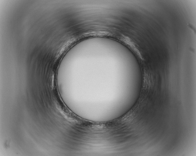 X0000102840110200808181034