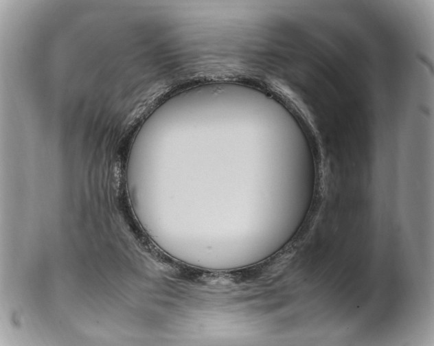 X0000102840113200808181034