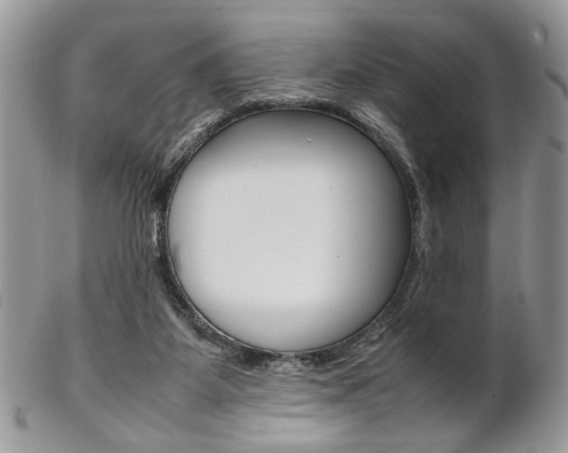 X0000102840115200808181034
