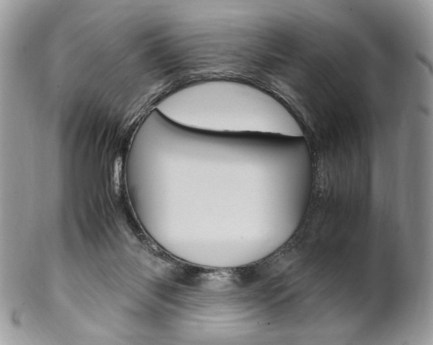 X0000102840118200808181034