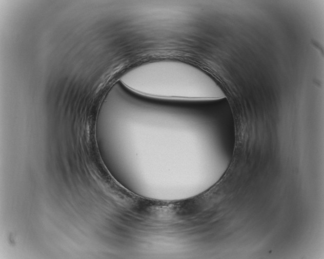 X0000102840120200808181034