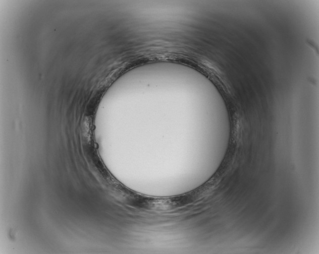 X0000102840121200808181033