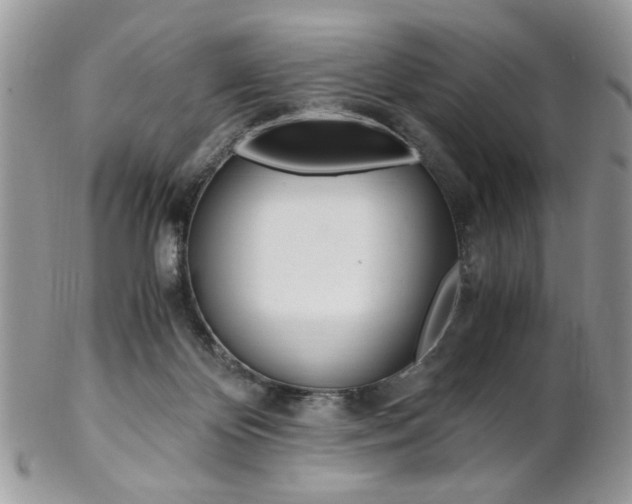 X0000102840124200808181033