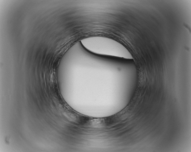 X0000102840126200808181033