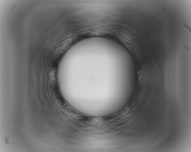 X0000102840127200808181033