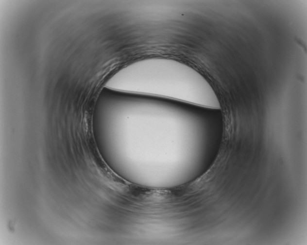 X0000102840128200808181033