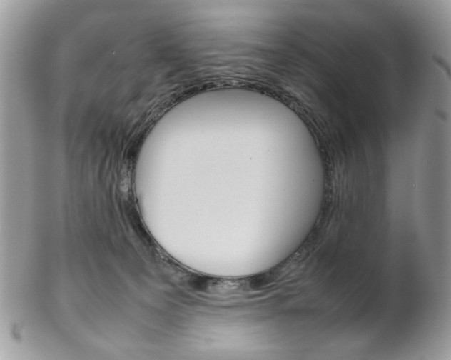 X0000102840129200808181033