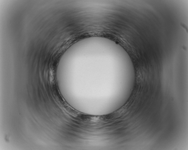 X0000102840130200808181033