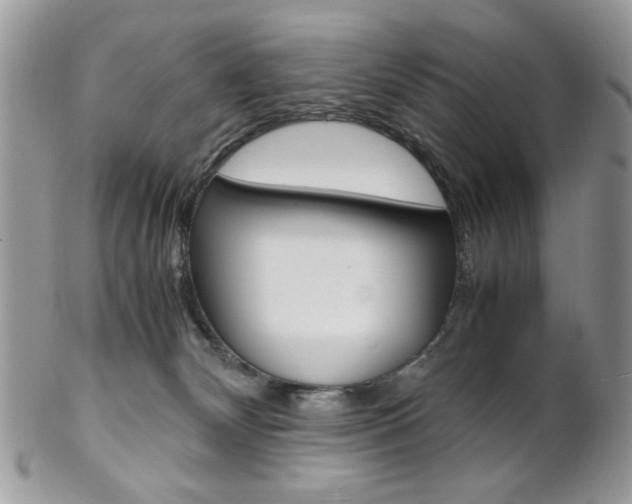 X0000102840132200808181033