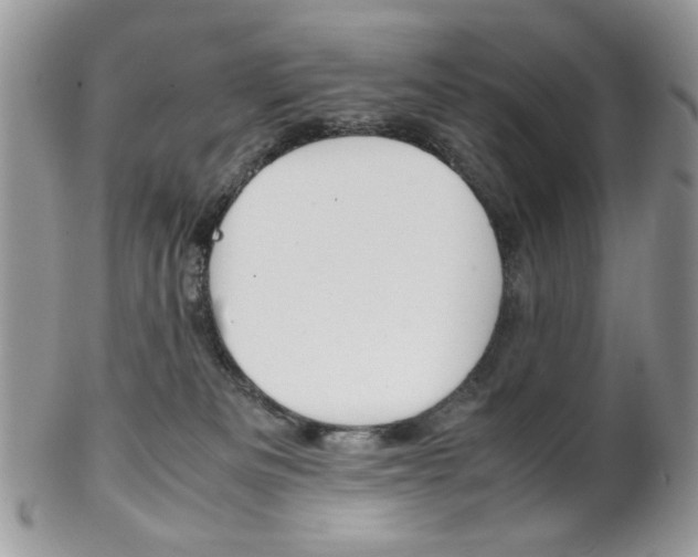 X0000102840133200808181033