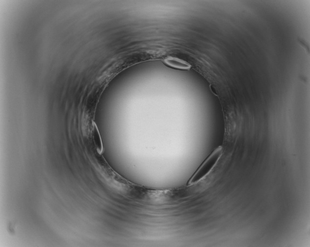 X0000102840136200808181033