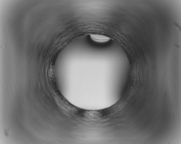 X0000102840137200808181033