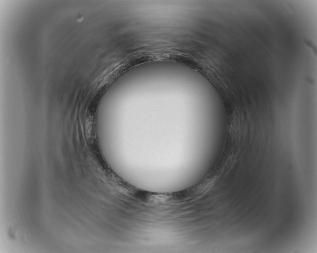 X0000102840139200808181033