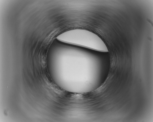X0000102840140200808181033