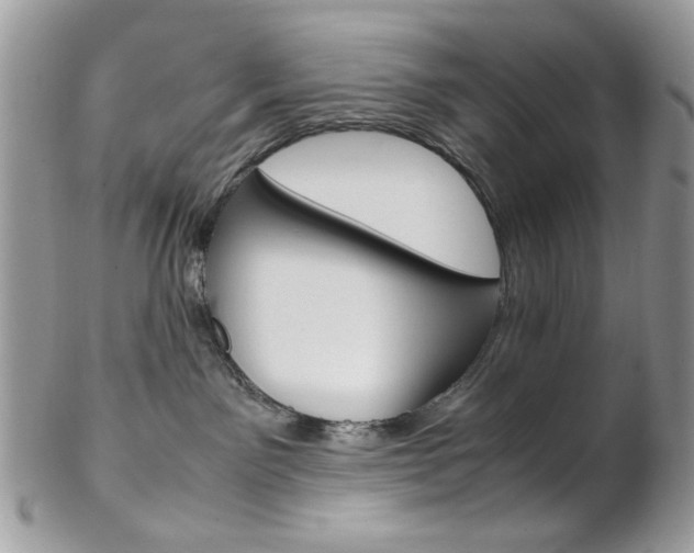 X0000102840141200808181033