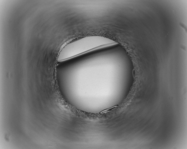 X0000102840144200808181033