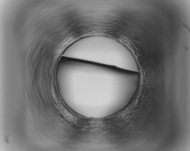 X0000102840145200808181032