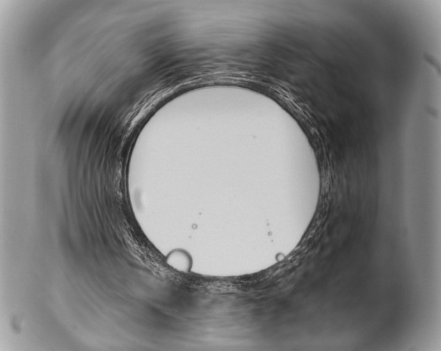 X0000102840146200808181032