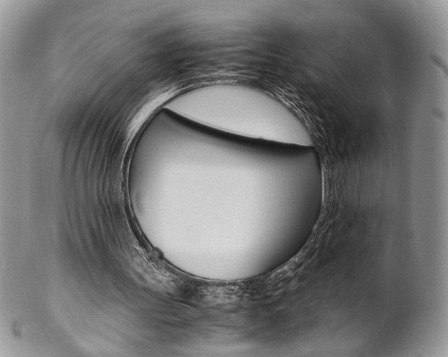 X0000102840147200808181033