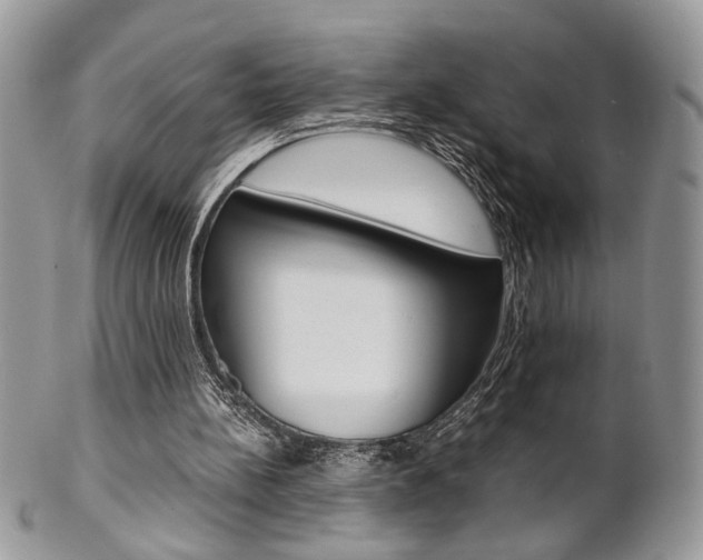 X0000102840148200808181033