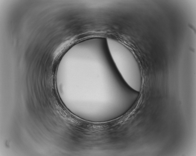 X0000102840149200808181033