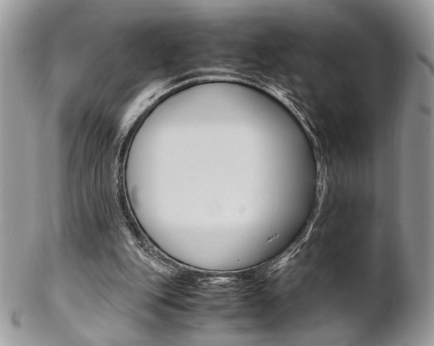 X0000102840151200808181033