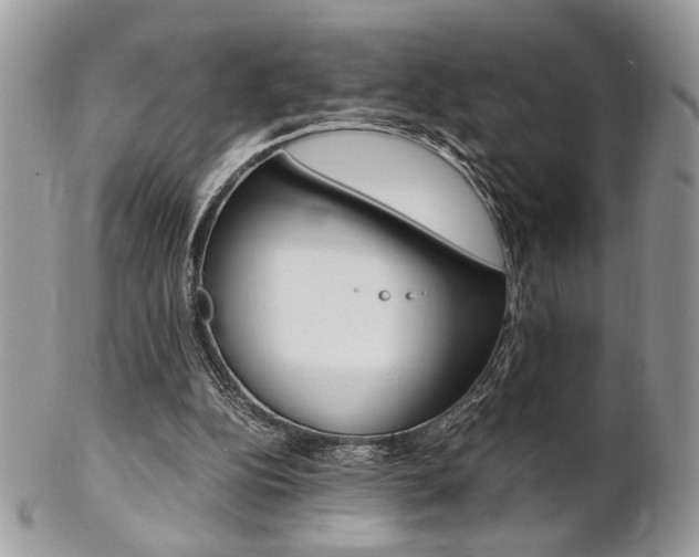 X0000102840152200808181033
