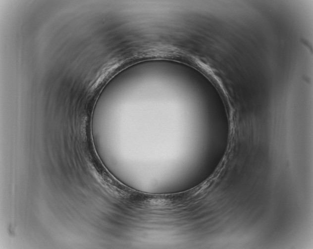 X0000102840154200808181033