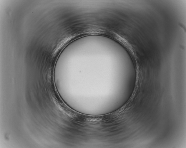 X0000102840155200808181033