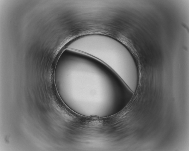 X0000102840156200808181033