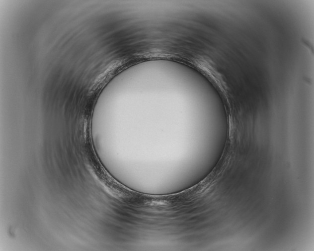 X0000102840157200808181033