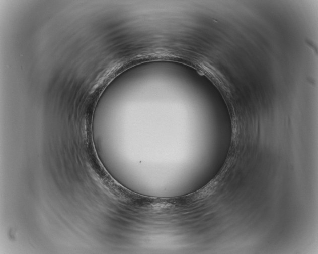 X0000102840158200808181033