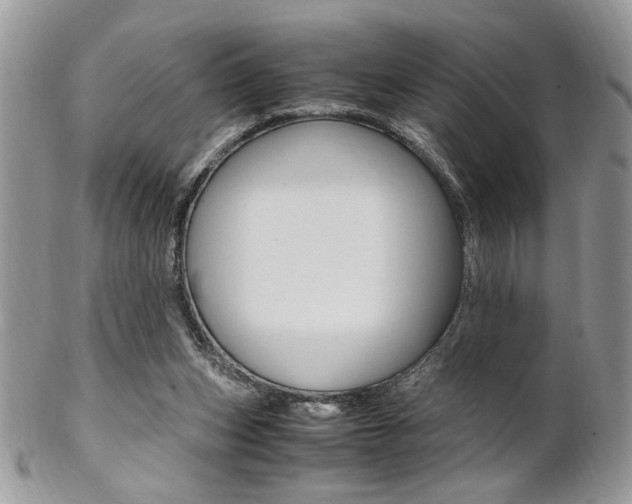 X0000102840159200808181033