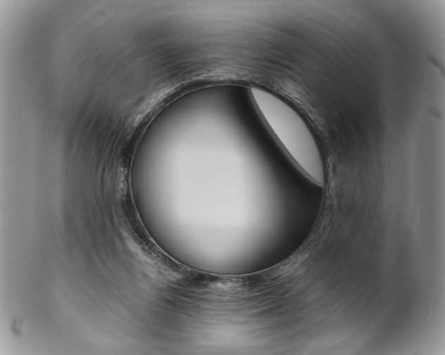 X0000102840164200808181033