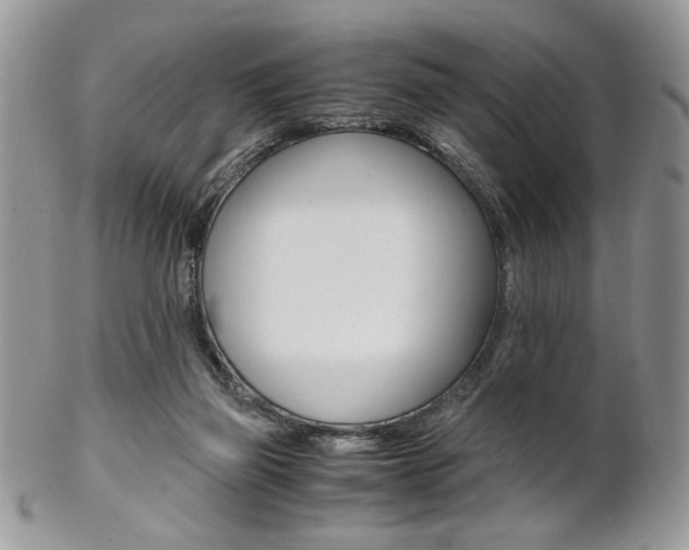 X0000102840165200808181033